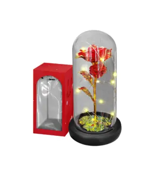 Λουλούδι σε Γυάλα με φως 22x11cm