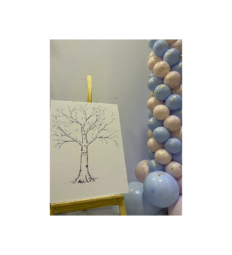 Καμβάς Αποκάλυψης Φύλου