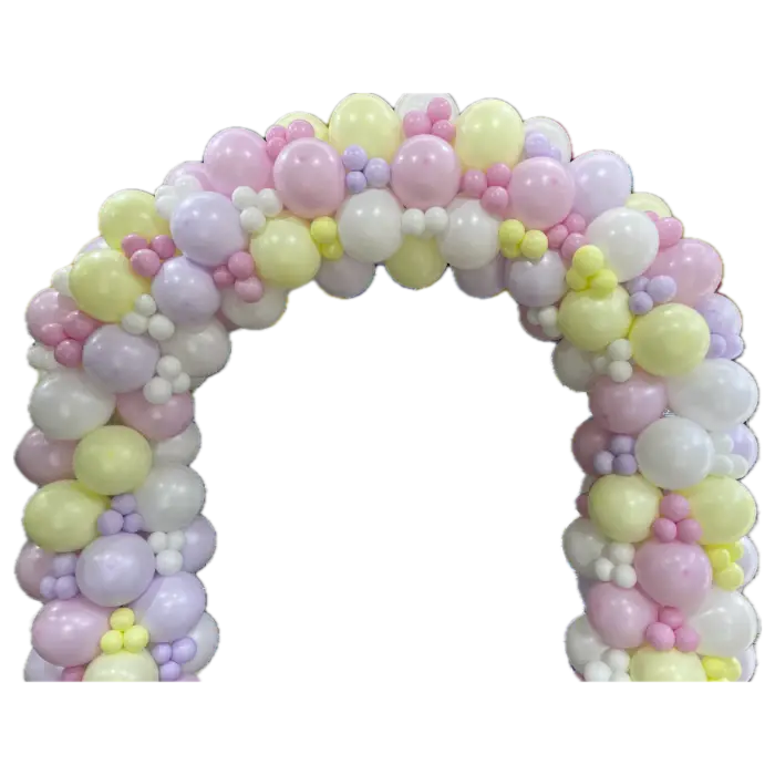 Subject(6)-processed